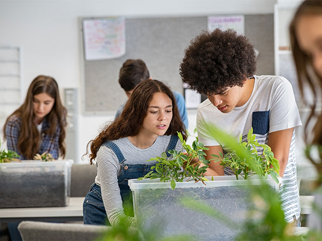Students studying plant growth
